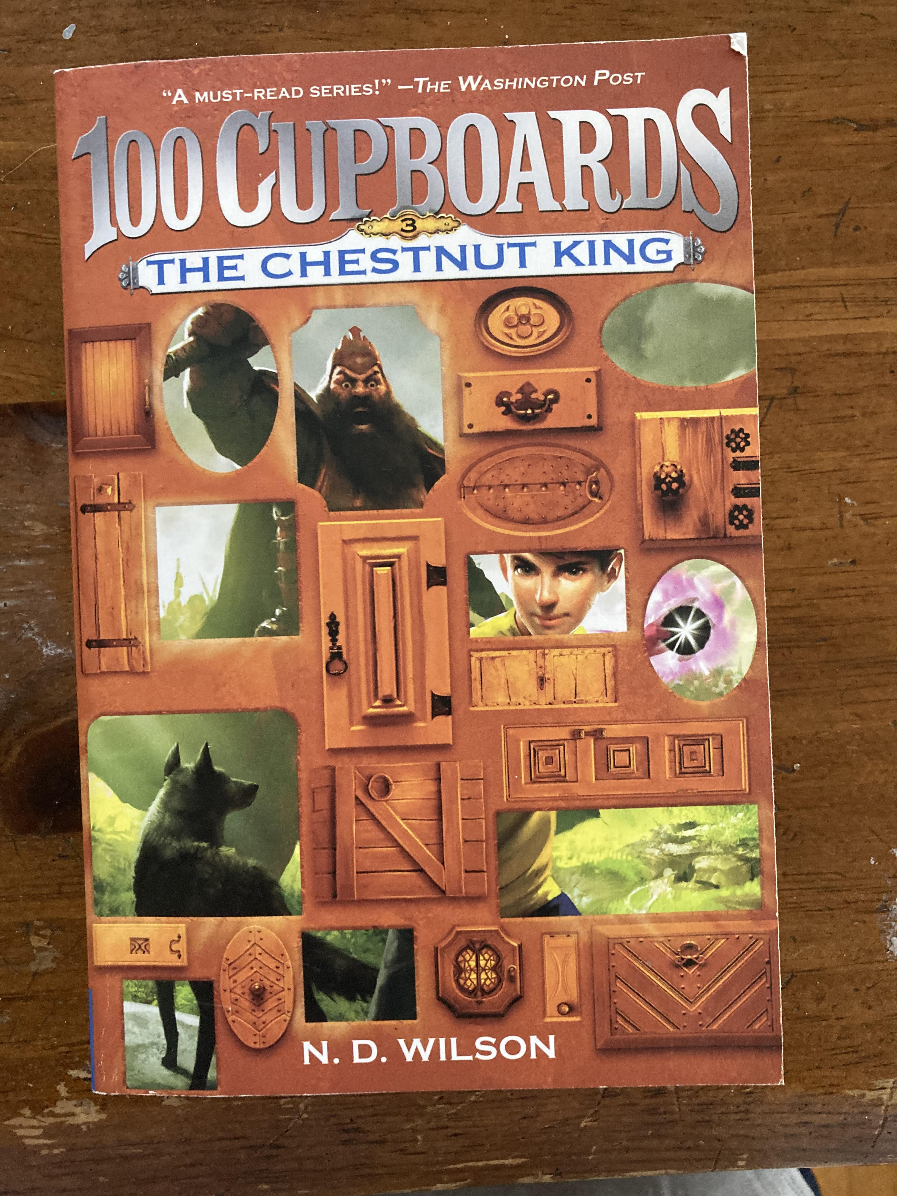 this is a picture of a book called The Chestnut King